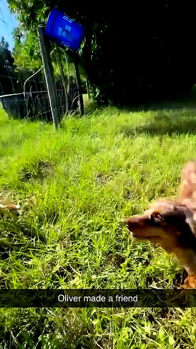 sophieraiin sophieraiin archive video