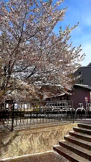 sophieraiin sophieraiin archive video