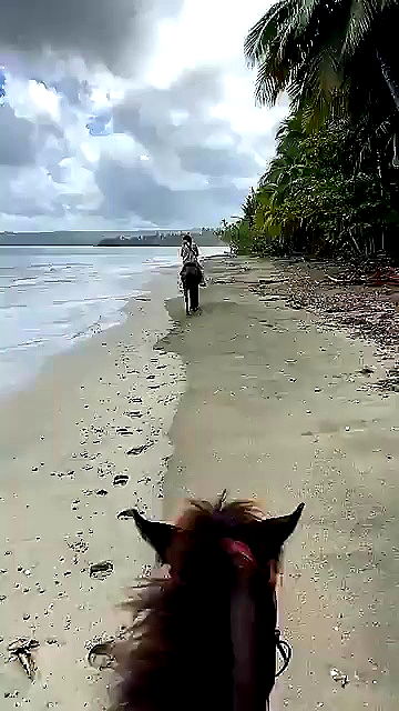 sophieraiin sophieraiin archive video