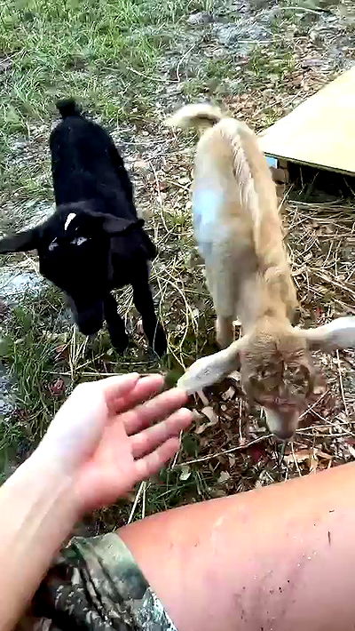 sophieraiin sophieraiin archive video