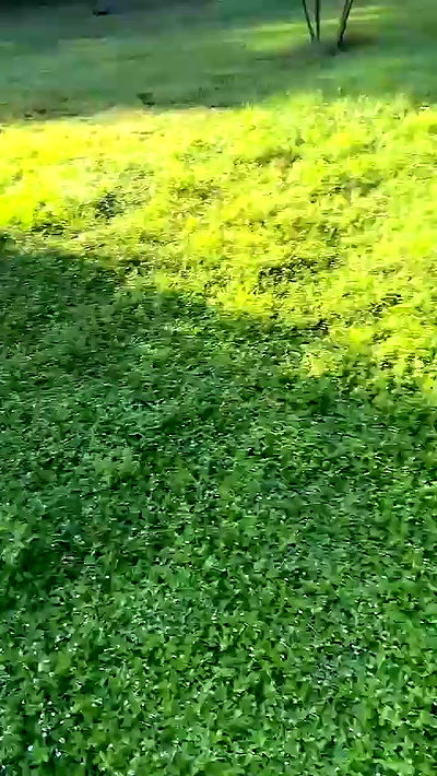 sophieraiin sophieraiin archive video