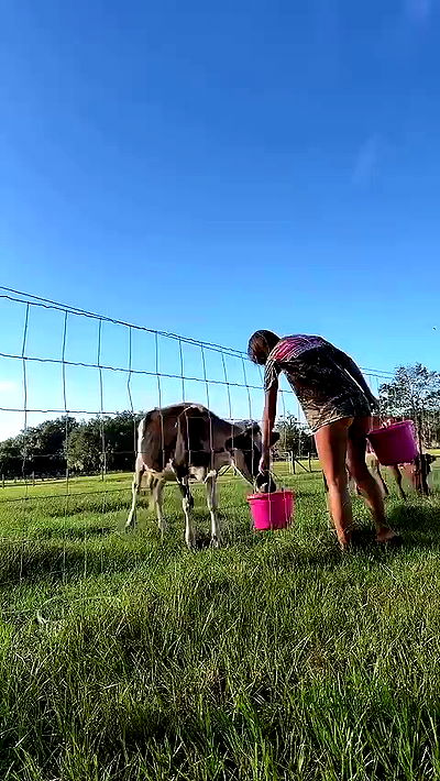 sophieraiin sophieraiin archive video