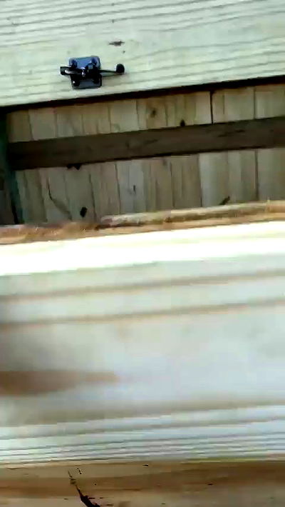 sophieraiin sophieraiin archive video