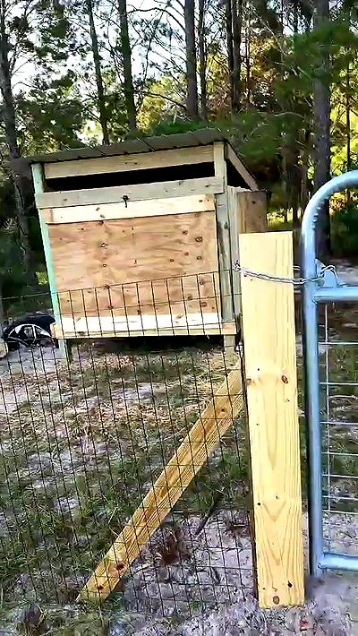 sophieraiin sophieraiin archive video