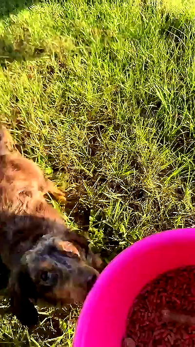 sophieraiin sophieraiin archive video