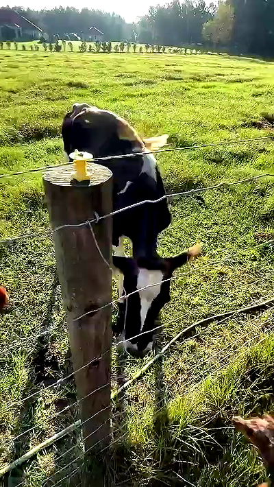 sophieraiin sophieraiin archive video