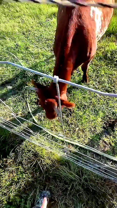 sophieraiin sophieraiin archive video