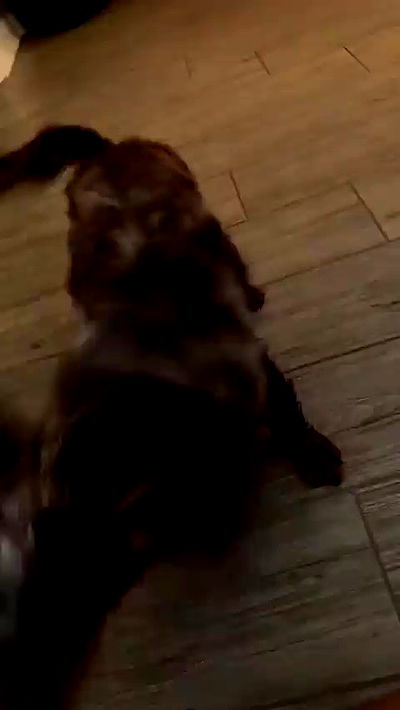 sophieraiin sophieraiin archive video