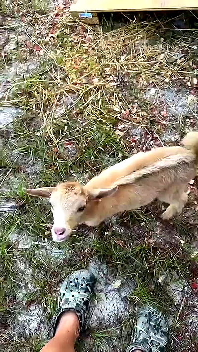 sophieraiin sophieraiin archive video