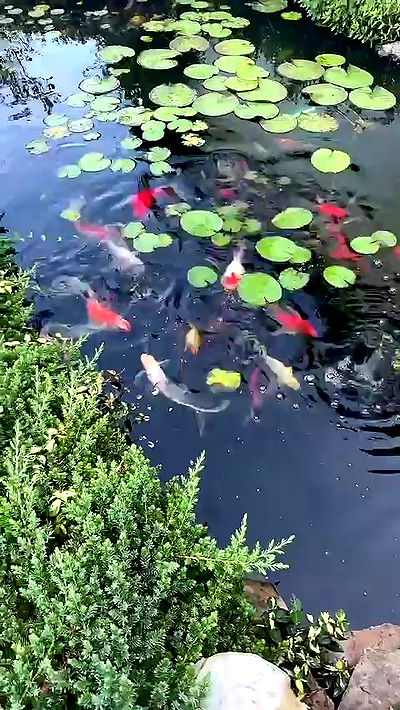 sophieraiin sophieraiin archive video