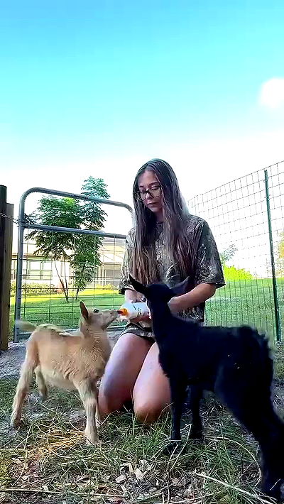 sophieraiin sophieraiin archive video