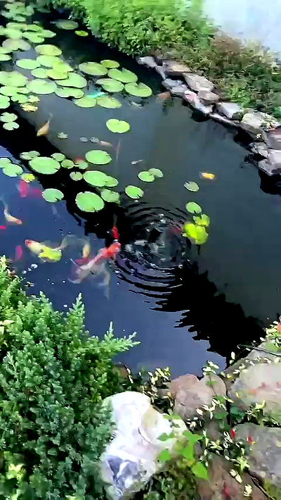 sophieraiin sophieraiin archive video