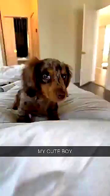 sophieraiin sophieraiin archive video