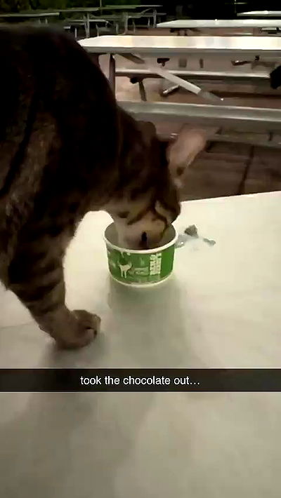 sophieraiin sophieraiin archive video