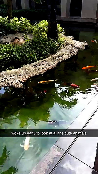 sophieraiin sophieraiin archive video