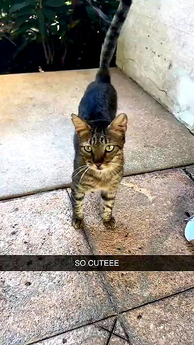 sophieraiin sophieraiin archive video