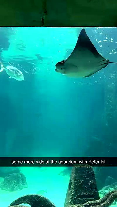 sophieraiin sophieraiin archive video