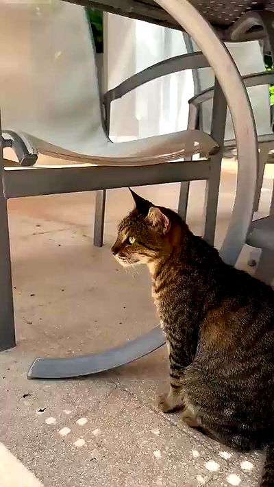 sophieraiin sophieraiin archive video