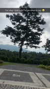 stefaniedra6 Altpins Profile Picture