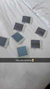 tonibreidingerr Altpins Profile Picture