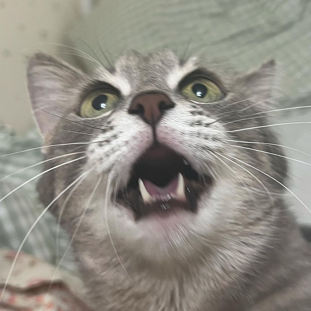 _tero._ instagram image archive image