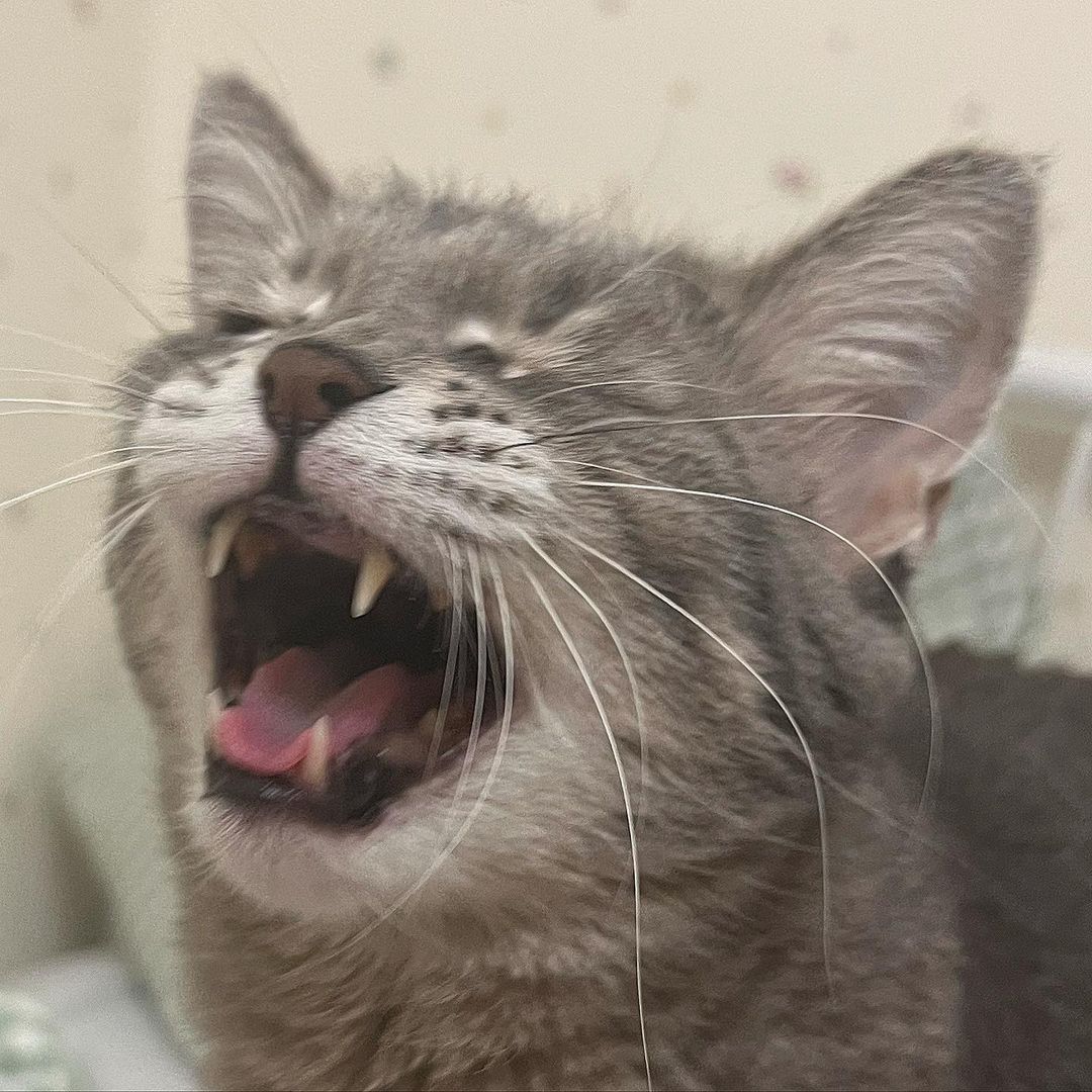 _tero._ instagram image archive image