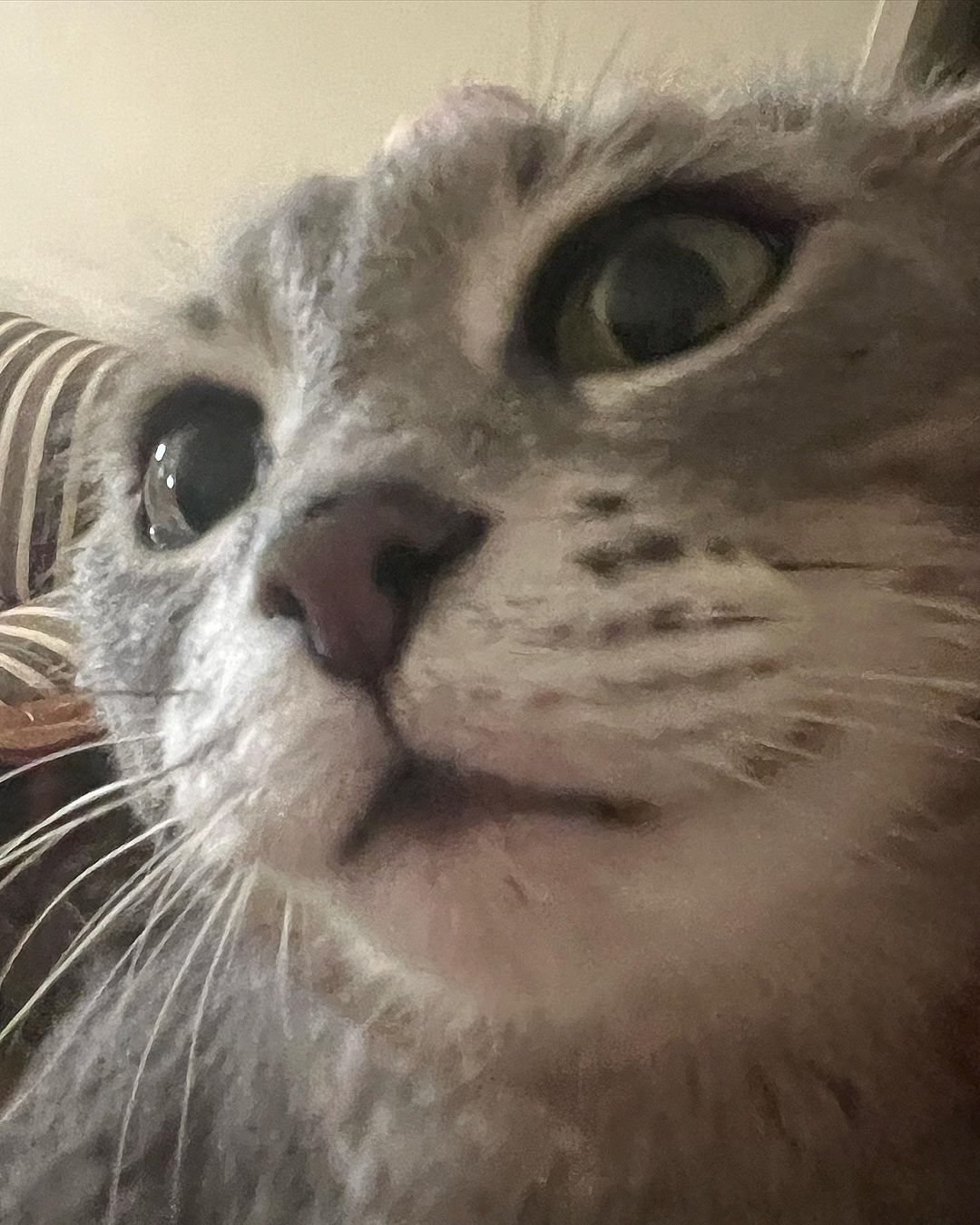 _tero._ instagram image archive image