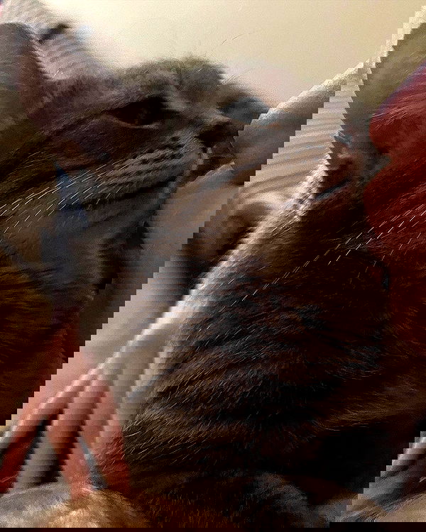 _tero._ image ~ Altpins