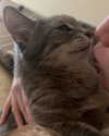 _tero._ Altpins Profile Picture