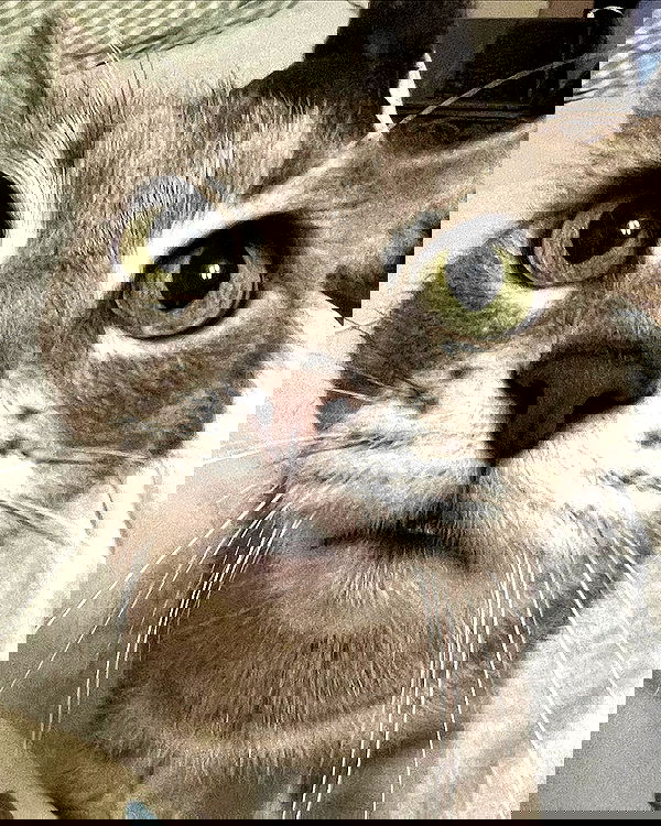 _tero._ image ~ Altpins