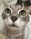 _tero._ Altpins Profile Picture