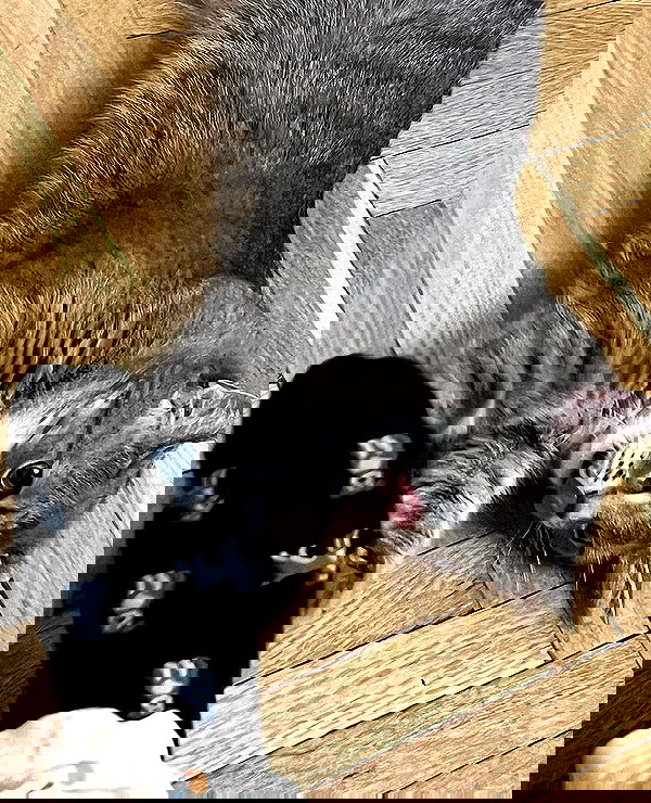 _tero._ image ~ Altpins