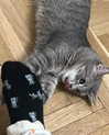 _tero._ Altpins Profile Picture