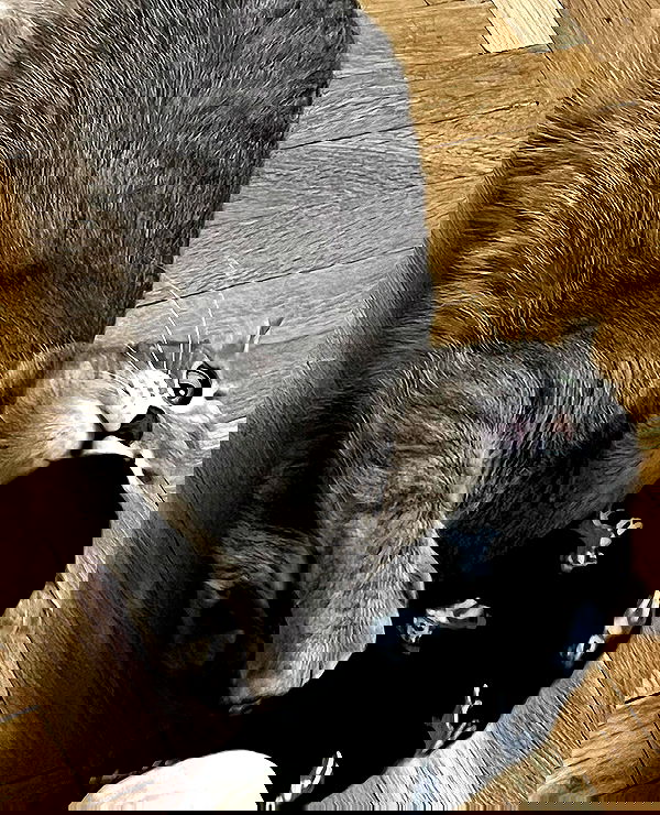 _tero._ image ~ Altpins