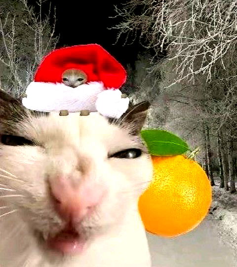 _tero._ image ~ Altpins