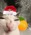 _tero._ Altpins Profile Picture