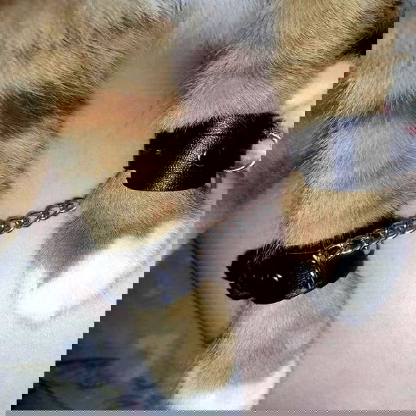 _tero._ image ~ Altpins