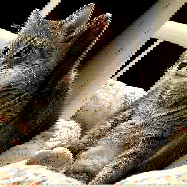 _tero._ image ~ Altpins