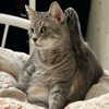 _tero._ Altpins Profile Picture