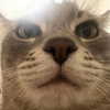 _tero._ Altpins Profile Picture