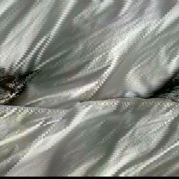 _tero._ image ~ Altpins