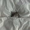 _tero._ Altpins Profile Picture