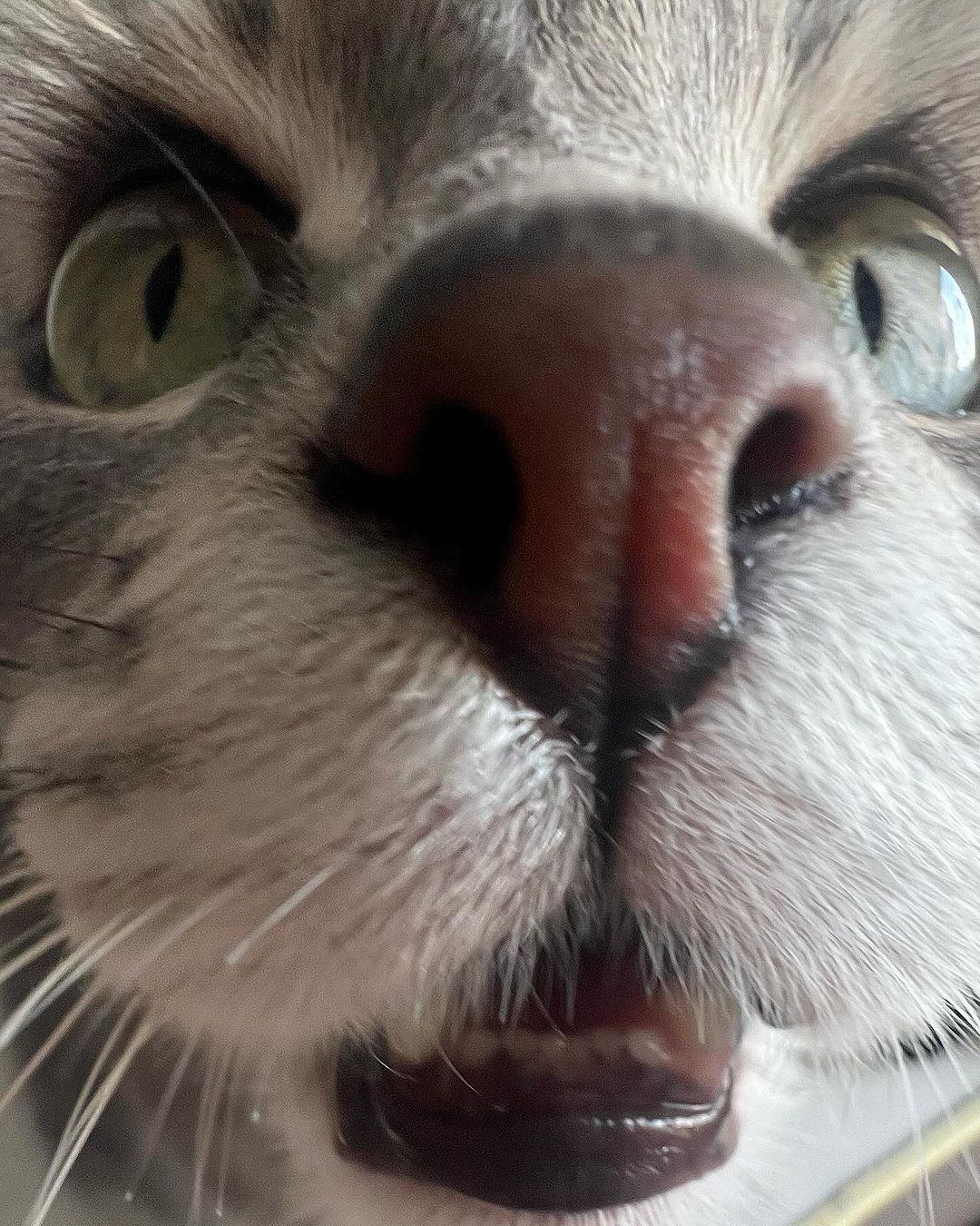 _tero._ instagram image archive image