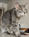 _tero._ Altpins Profile Picture