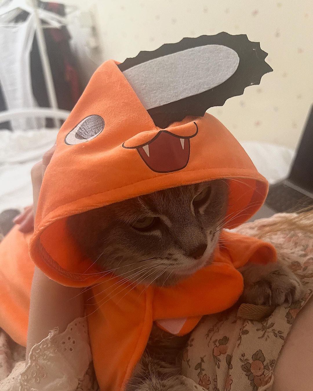 _tero._ instagram image archive image