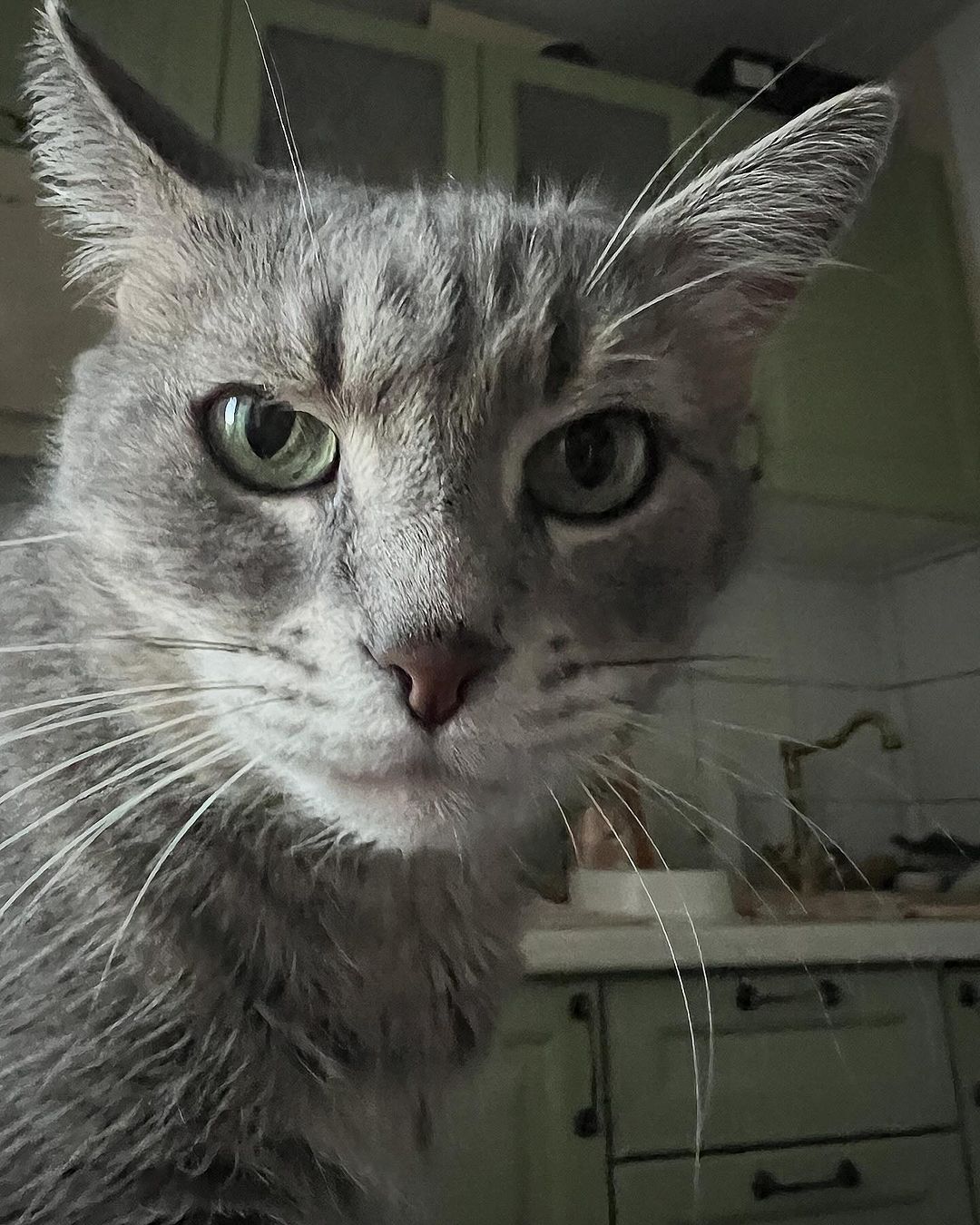 _tero._ instagram image archive image