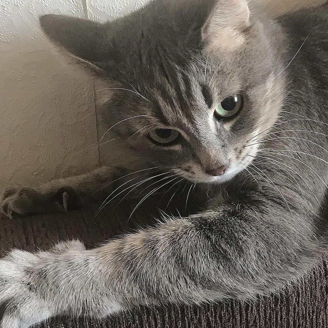 _tero._ instagram image archive image