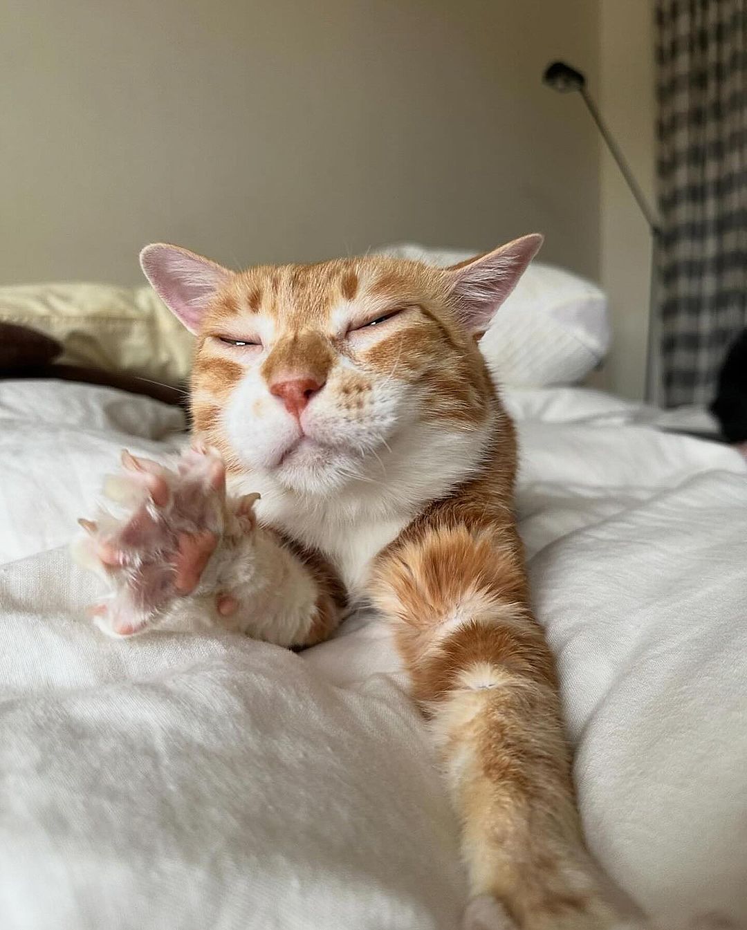 _tero._ instagram image archive image