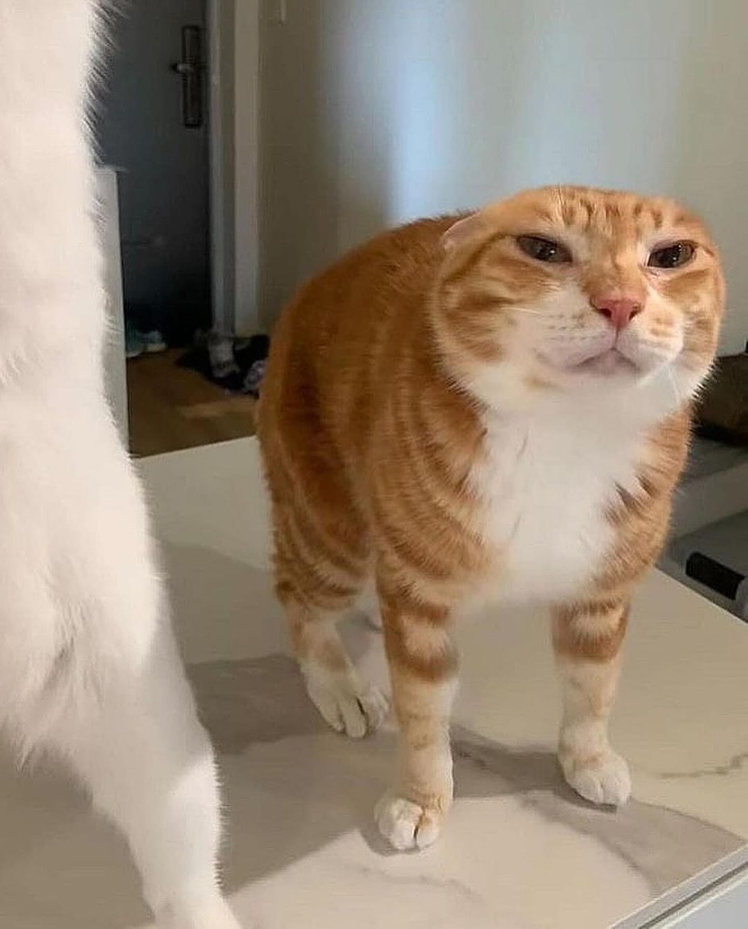 _tero._ instagram image archive image