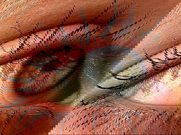 _tero._ image ~ Altpins